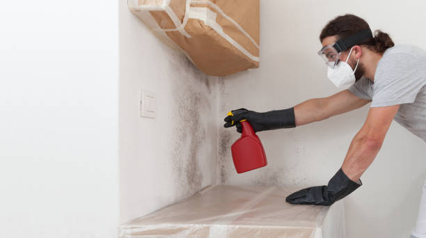 Professional Crawl Space Mold Remediation technician working in Brightwaters, NY